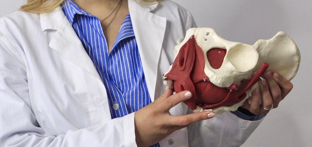 Ostetrica del Pavimento Pelvico