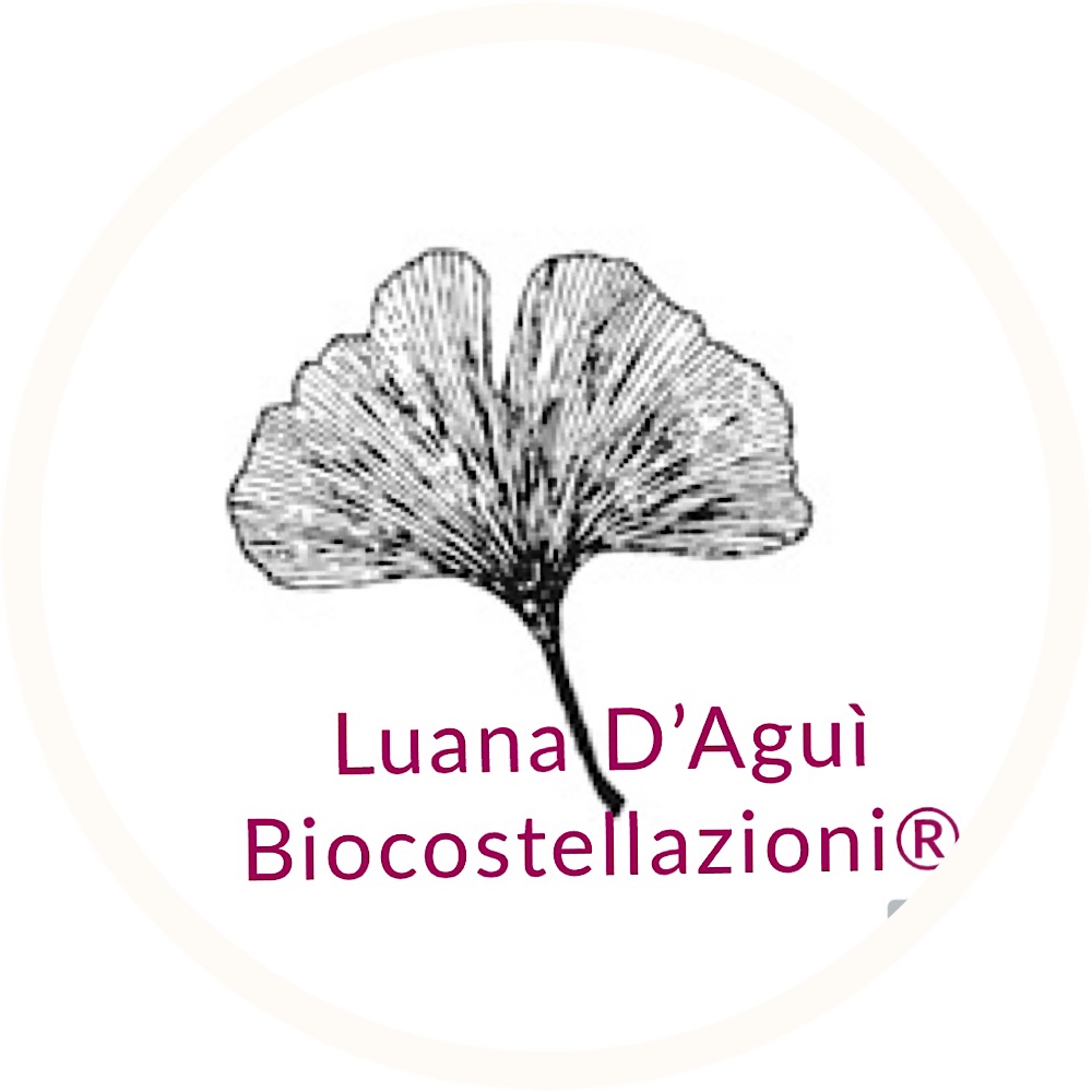 luanadagui