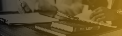 Focus sul D.lgs.139/24 T.U.S.D