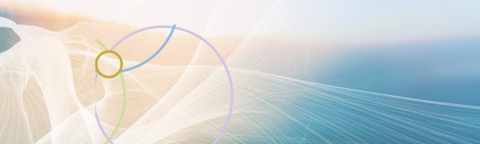 Felicità dell'Amore della propria Opera