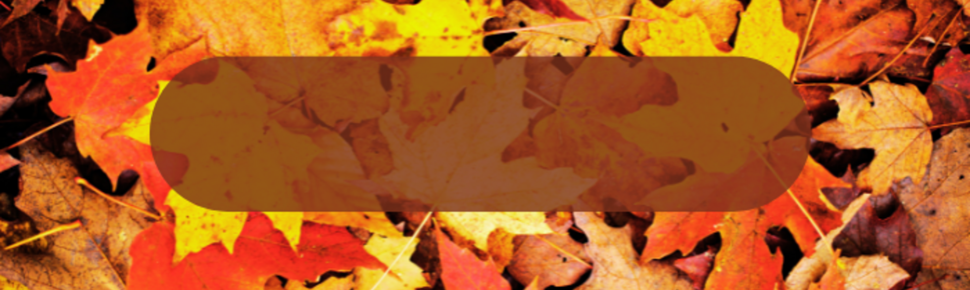 Videocorso AROMATERAPIA PER L' AUTUNNO