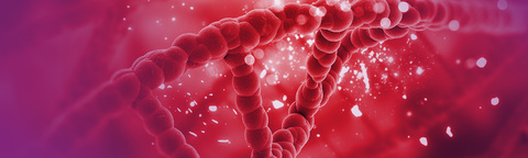 Biotecnologie avanzate in agricoltura