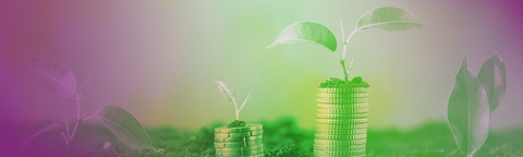 I pilastri della green economy