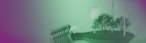 Consumo energetico e politiche verdi