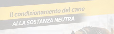 Cenni sulla Detection e Metodo per iniziare