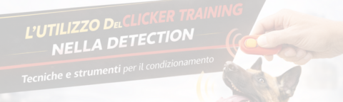 L'utilizzo del Clicker in Detection