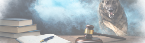 Allevamento e Legislazione