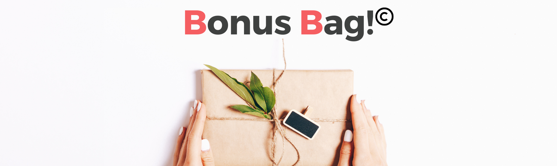 BONUS BAG