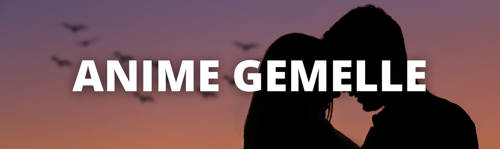 Anime Gemelle