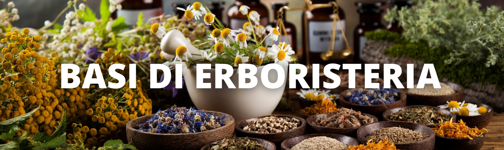 Erboristeria