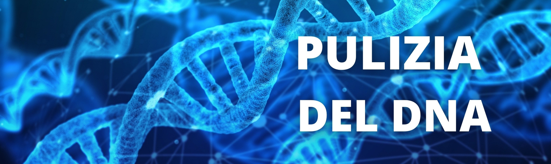 Pulizia del DNA - Induzione AUDIO MP3