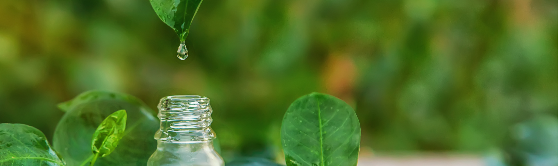 AROMATERAPIA DI BASE