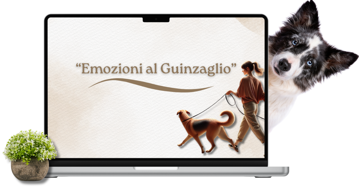 Copia_di_6_STEP_PER_AIUTARE_IL_TUO_CANE_-davvero-ANSIOSO_PAUROSO_E_REATTIVO_-2-.png