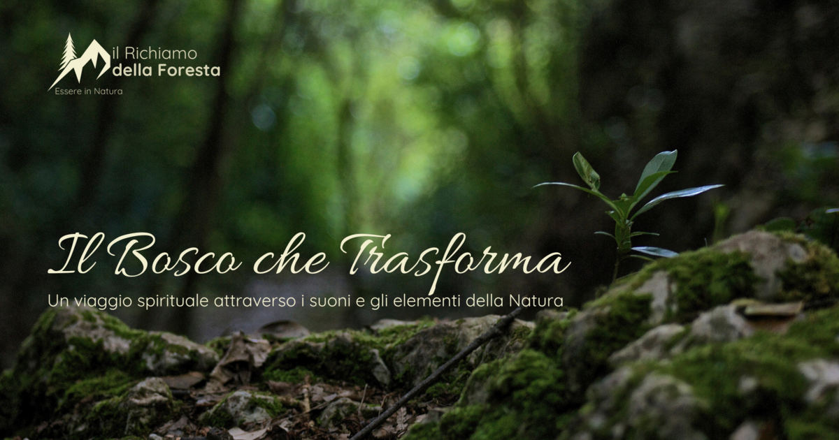 Il Bosco che Trasforma