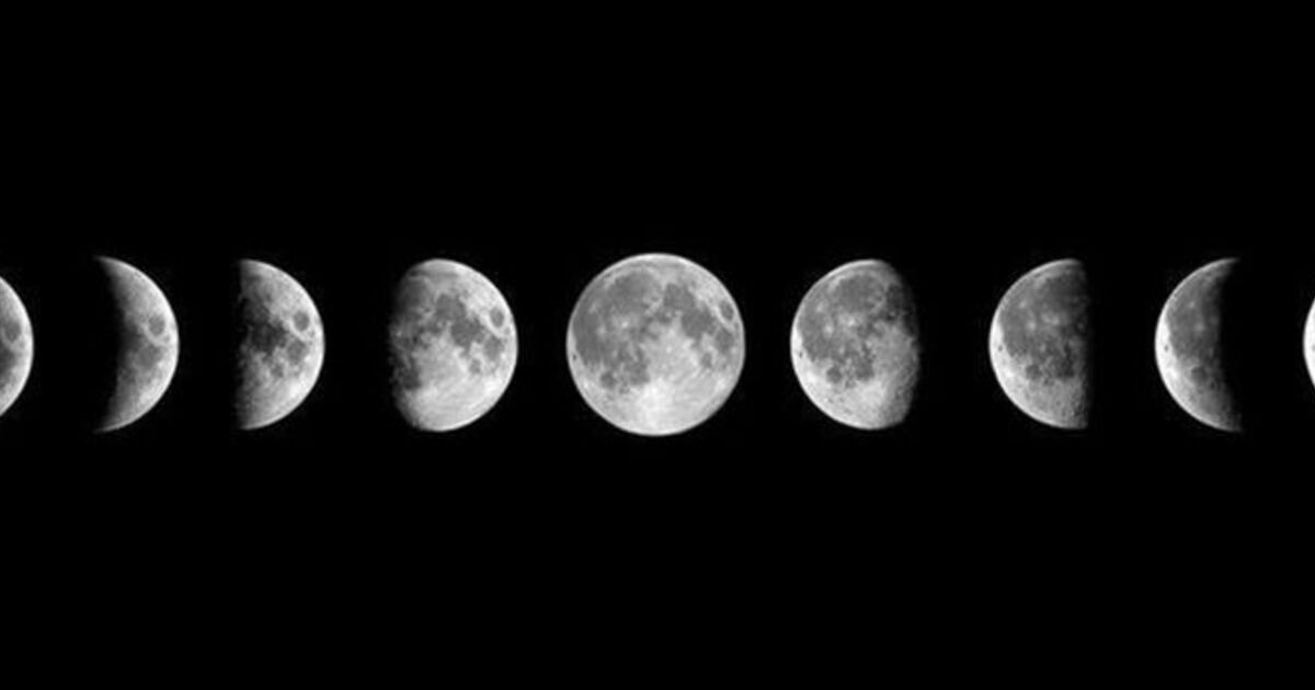39ad4ec5-6193-4d15-bfc1-ff5944839a1d.jpeg