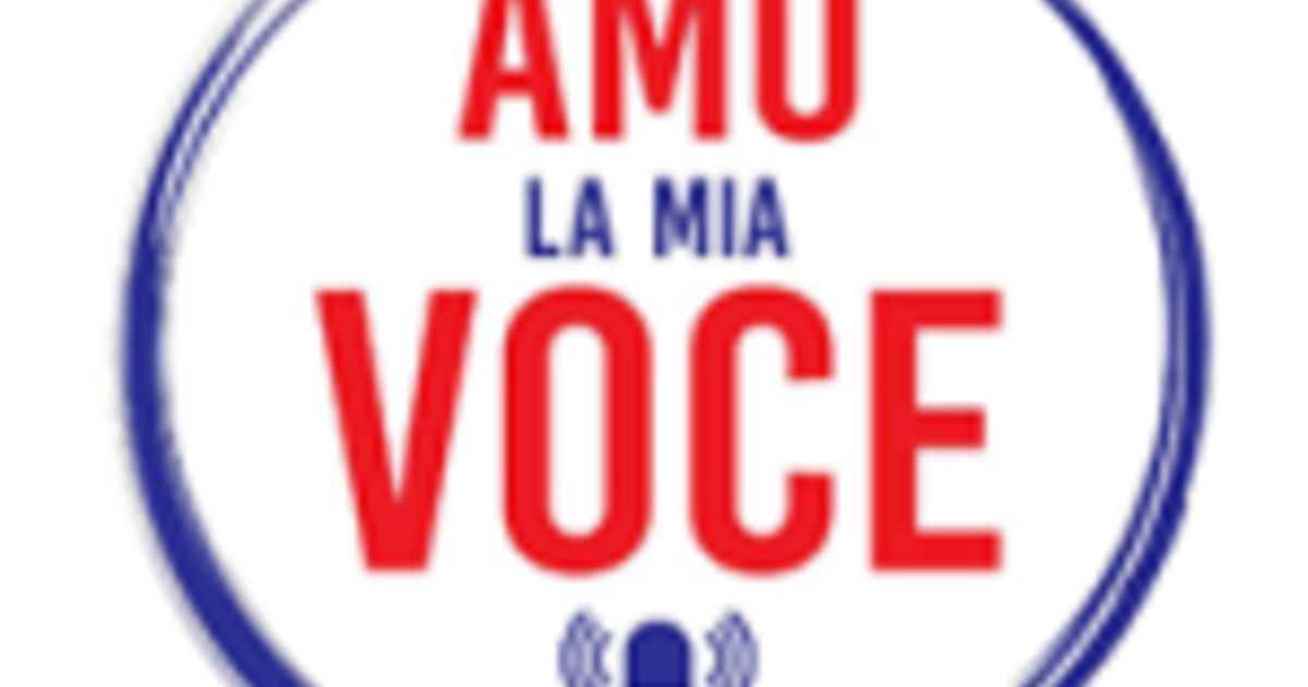 Voice Communication Leader - 1 Modulo "All in One" - 3 Sessioni da 90': Voice Coaching + Public Speaking