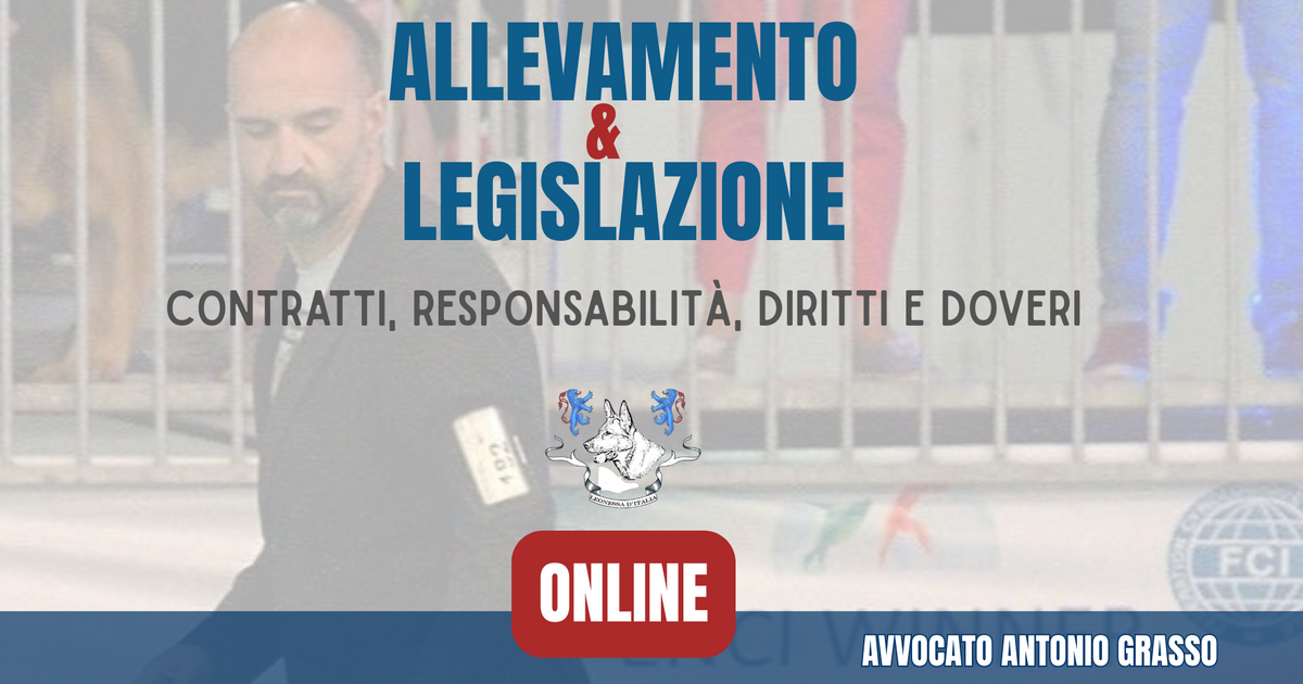 LEONESSA_D-ITALIA_POST_-BUSINESSINCLOUD.png