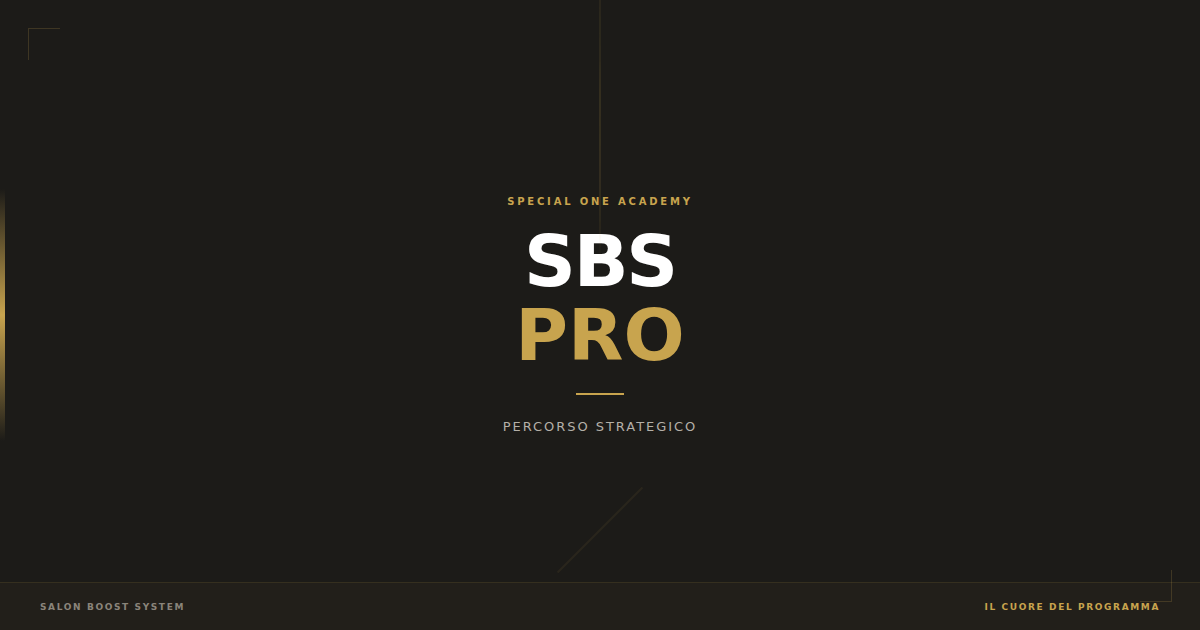 SBS_Cover_Pro.png