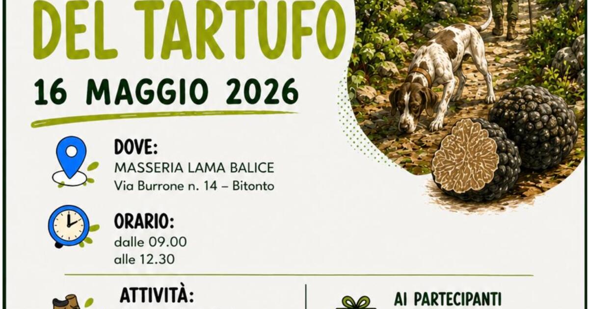 Raccolta_del_Tartufo.jpeg